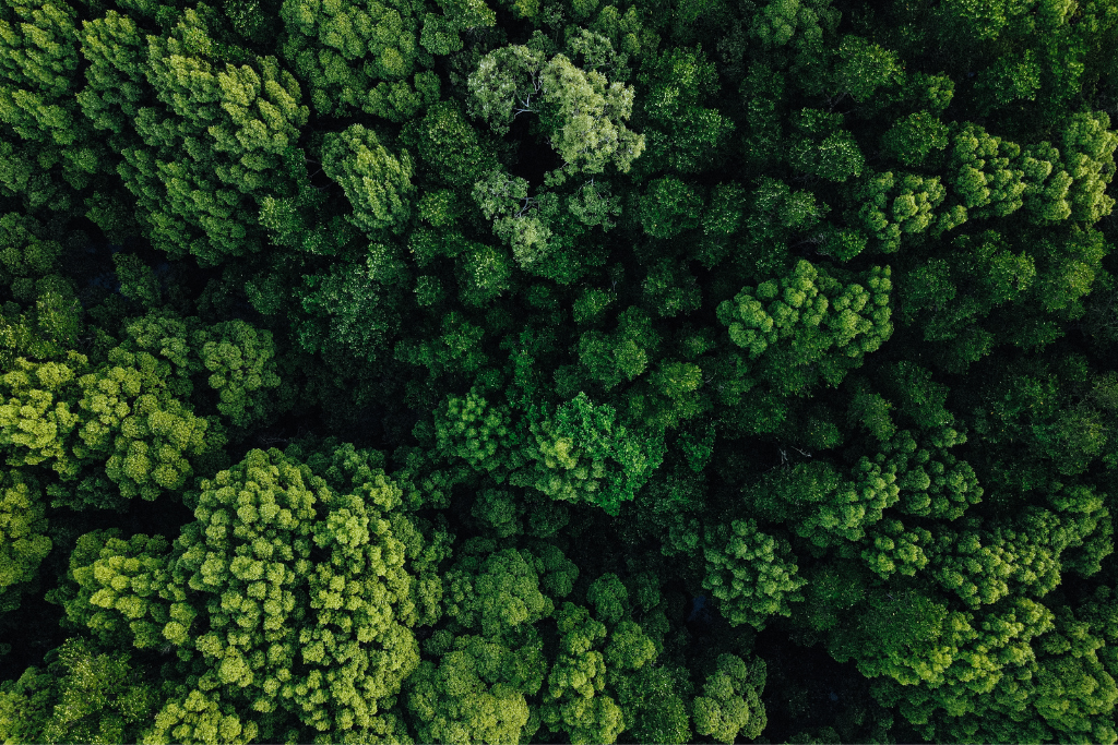 Bio-economy verpakkingen