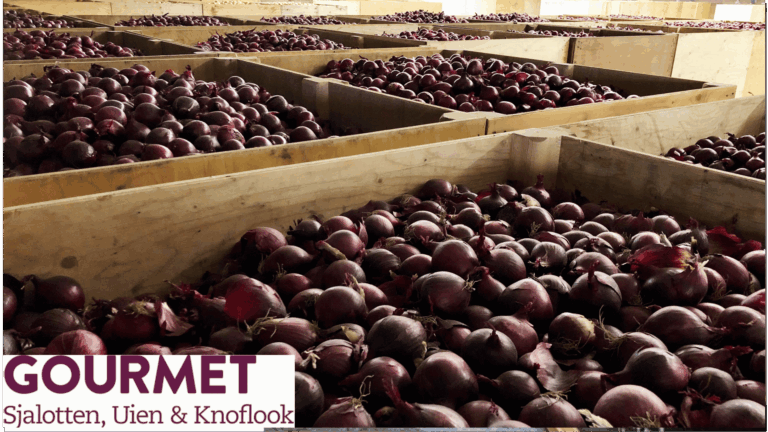 Gourmet : suivi des caisses de conservation avec des oignons avec RFID