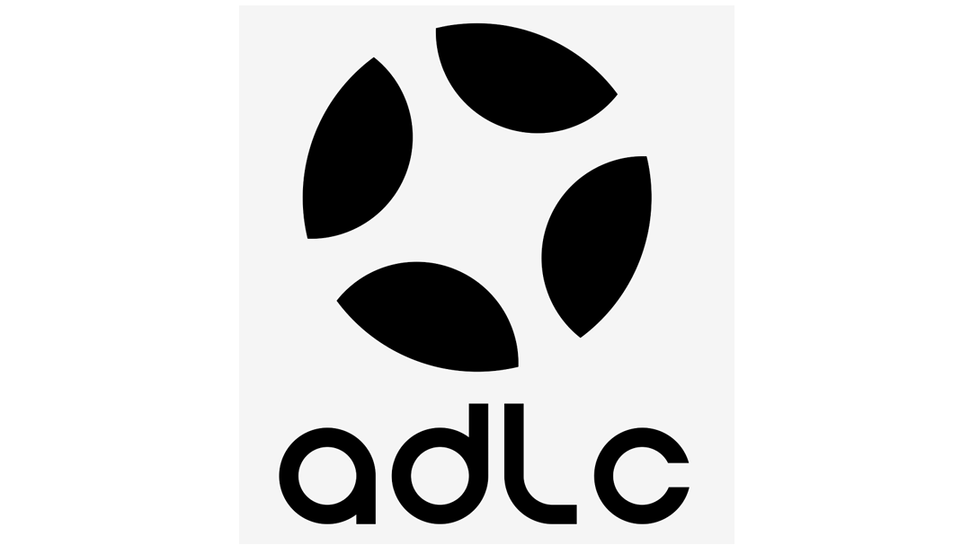 ADLC (A Drone Logistics Company)
