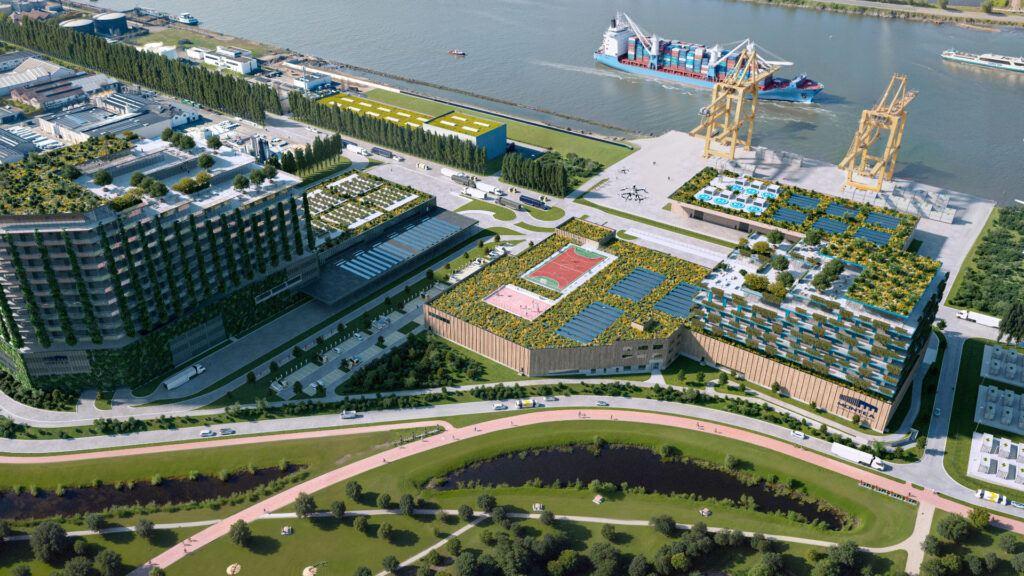 Rapport annuel Montea 2024