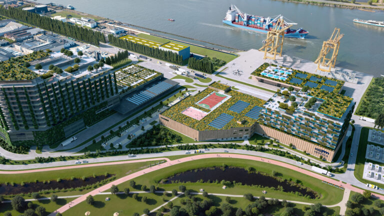 Rapport annuel Montea 2024