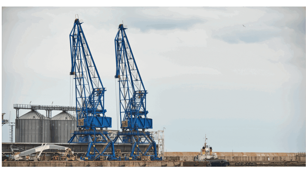 IDMS : Représentation douanière directe et indirecte