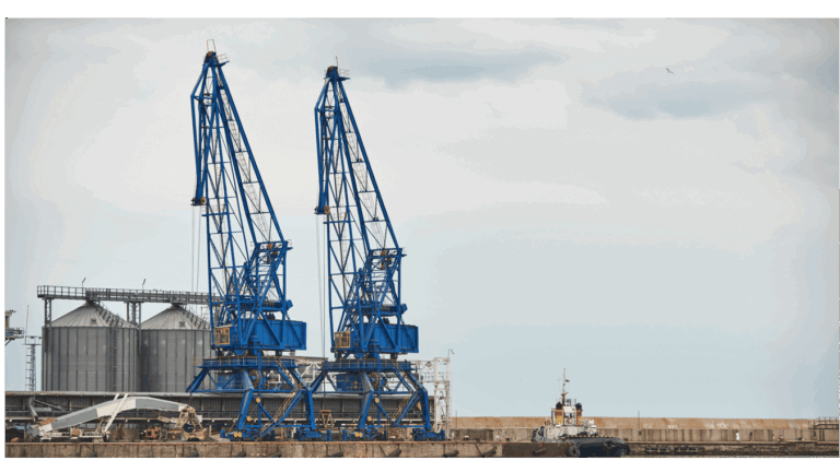 IDMS : Représentation douanière directe et indirecte