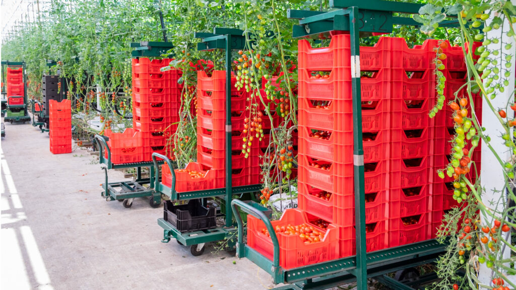 Caisses et bacs en plastique pour l’industrie alimentaire