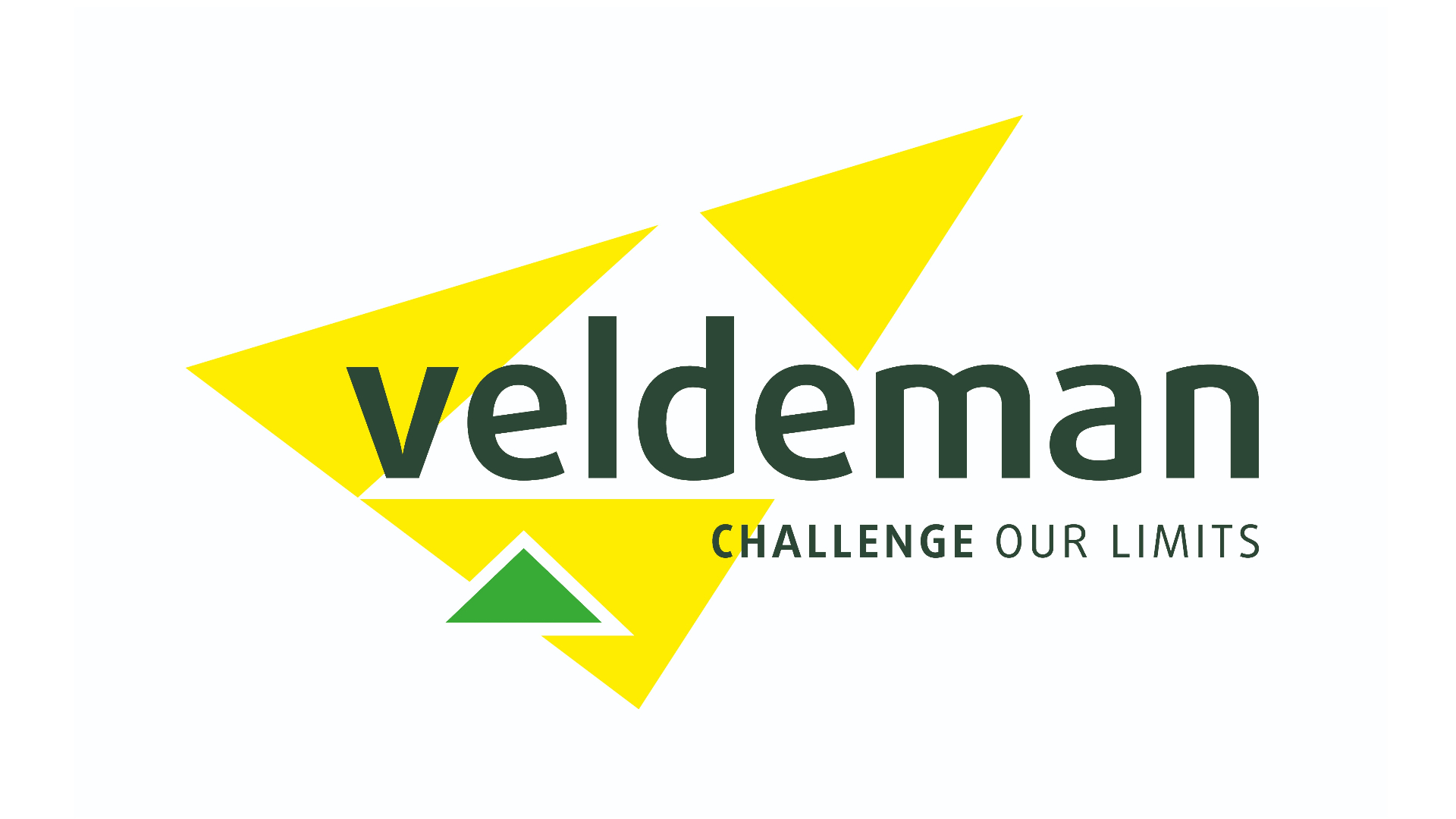 Veldeman Group