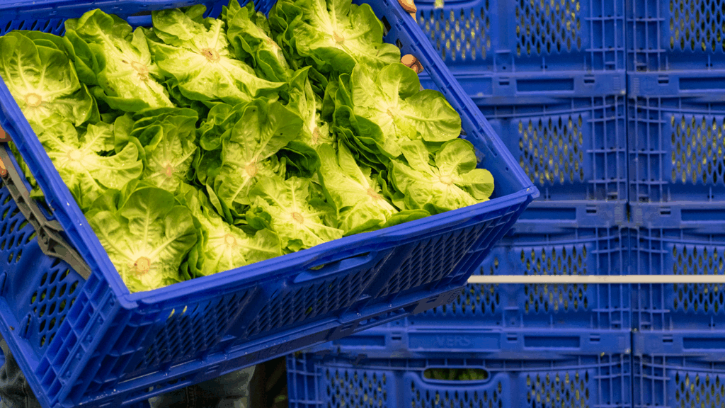 350 000 caisses pliantes pour Versland