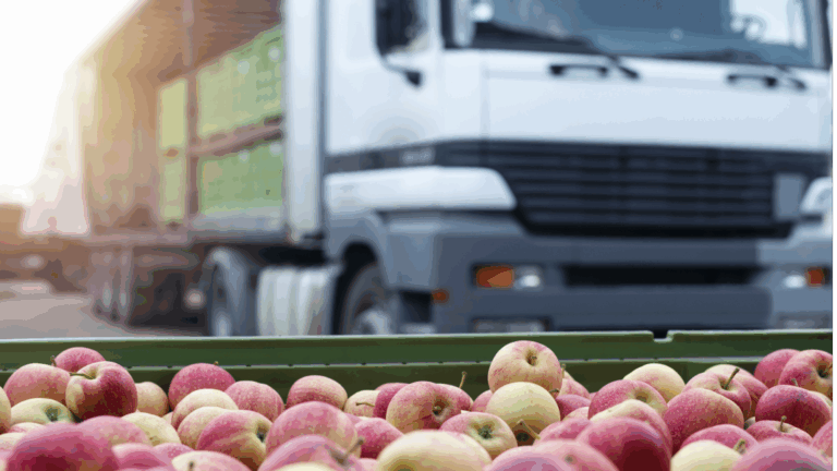 Shipping perishables – Flowers, fruit, vegetables, fish, seafood and dairy products – and more