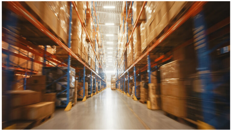 Warehouse Management Software (WMS)