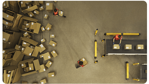 Shaping tomorrow’s logistics like a chameleon