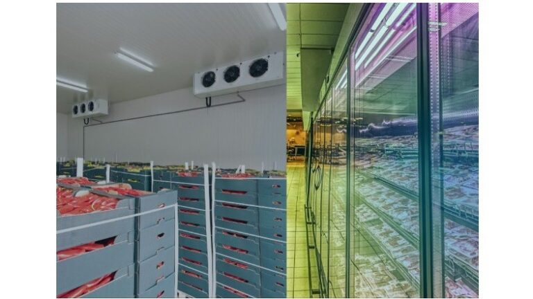 Manque d’automatisation, manque de visibilité, manque de contrôle… Les maillons faibles de la logistique du froid sont bien connus.