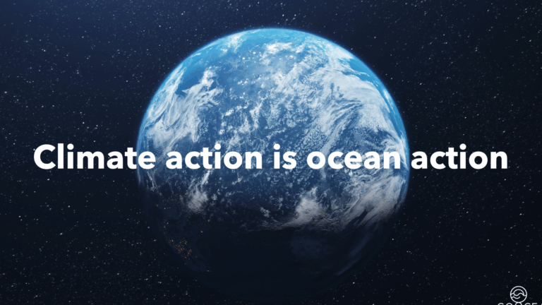 Climate action is ocean action: unlocking the ocean’s potential in your sustainability strategy.