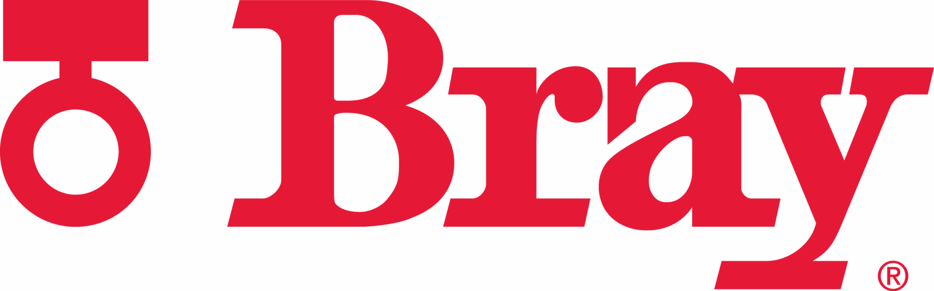 Bray Controls Benelux