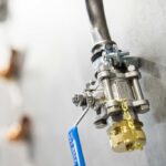 53611232227_2991b33645_b (1)