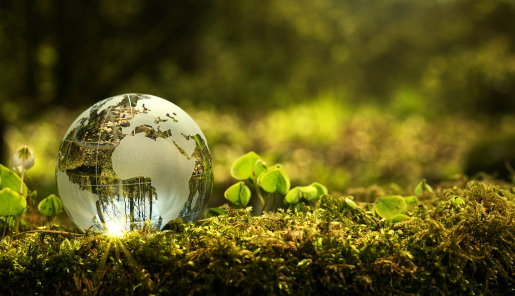 Image de la nature et du globe terrestre