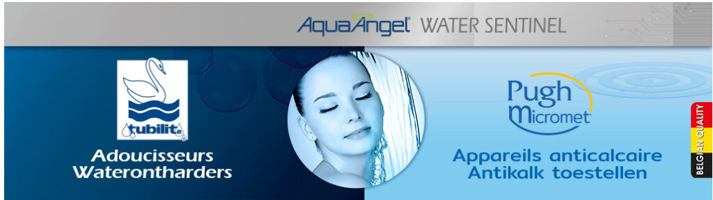 Pugh & Co International