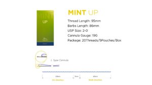MINT™️ UP