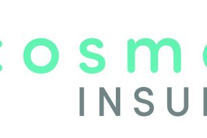 Cosmetic Insure Landscape