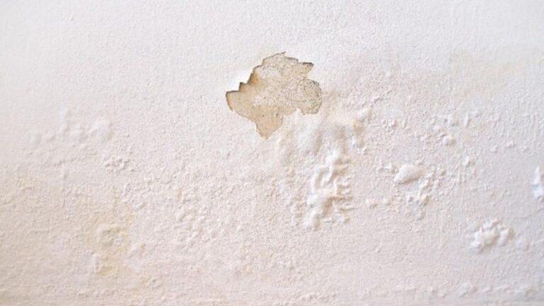 Waarom vochtwerende verf geen oplossing is voor vocht in huis?