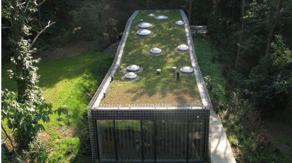 Realisatie groendak – EPDM