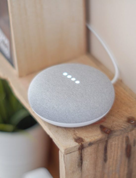 Afbeelding van een spraakbesturingssysteem voor een slim huis. Het systeem bevindt zich op een paar kratten met een plant ernaast.