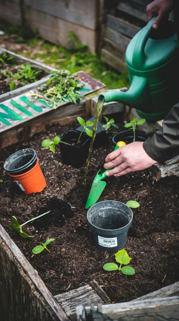 jonathan-kemper-VTXw4_5SsNA-unsplash Man werkt in moestuin