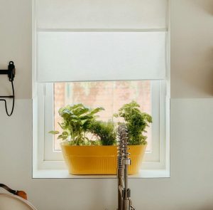 Een paar kruiden die samen in een grote plantenbak zitten bevinden zich op de vensterbank in de keuken.