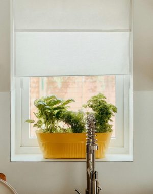 Een paar kruiden die samen in een grote plantenbak zitten bevinden zich op de vensterbank in de keuken.