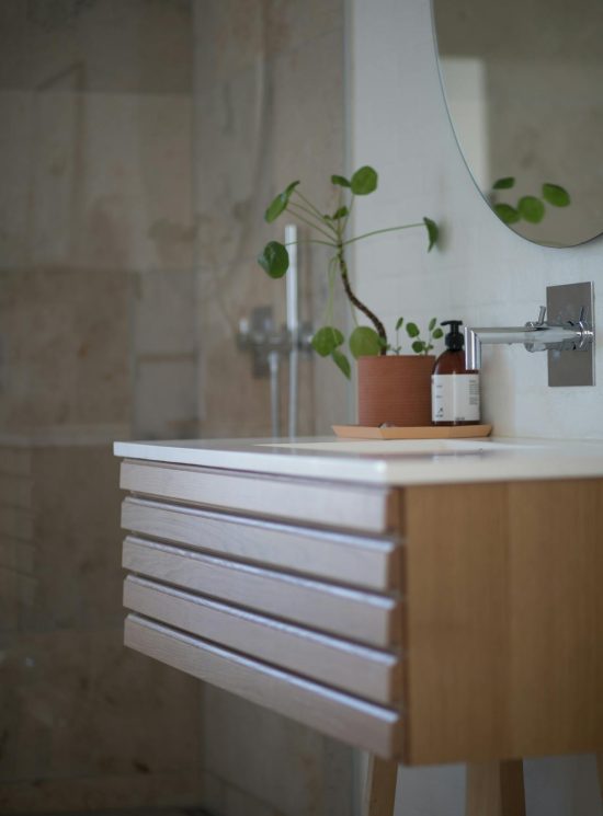 Badkamer met focus op lavabo. Op de lavabo staan een plant en een zeepdispenser.