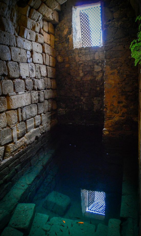 Een kelder die onder water staat met een paar vissen die rondzwemmen