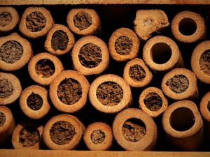 Insecten hotel