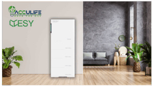 EXCLUSIEF IN BELGIË!