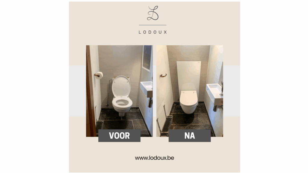 Vervanging traditioneel toilet door douche-wc