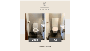 Vervanging traditioneel toilet door douche-wc