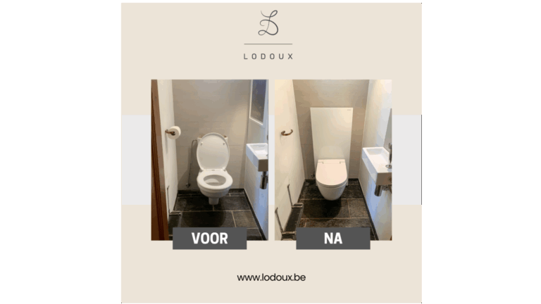 Vervanging traditioneel toilet door douche-wc