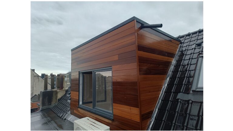 Dakuitkijk timmeren en bekleden