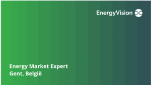 Energy Market Expert