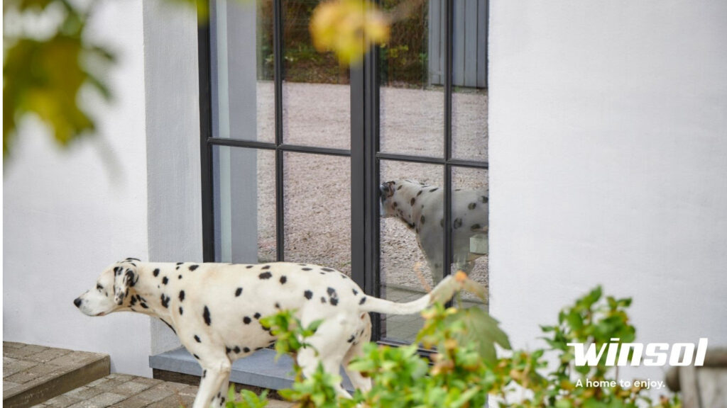 Aluminium Ramen en Deuren