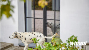 Aluminium Ramen en Deuren