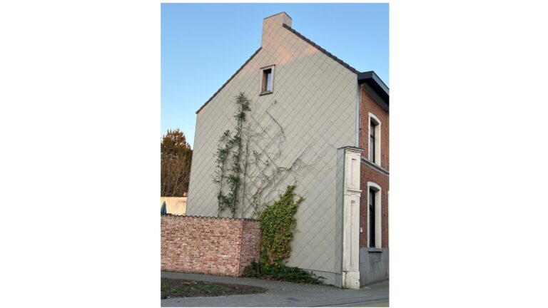 ๐งฑ GEVEL & BUITENSCHIL