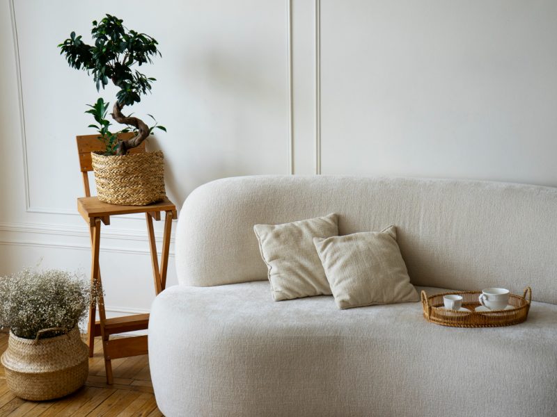 Organische bank bij witte muur