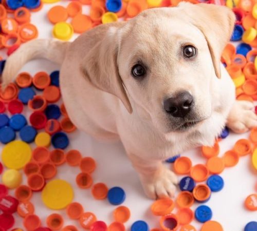 vierkant.a03dbd32.bcg_dopjes_hoge_resolutie_9_200317_091218.b519513c4187dca2488f8b742c201fd4.35095de6b59c1673a33490188317026d