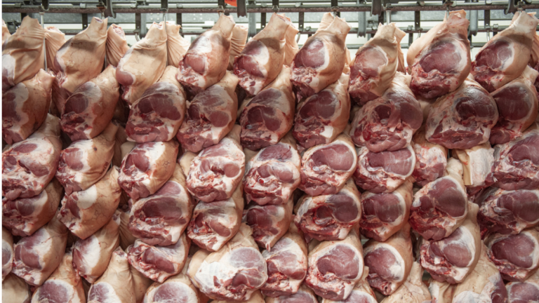 Biologisch varkensvlees