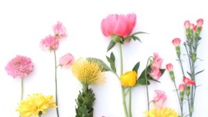 Bloemen