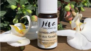 Biologische etherische sandelhout olie