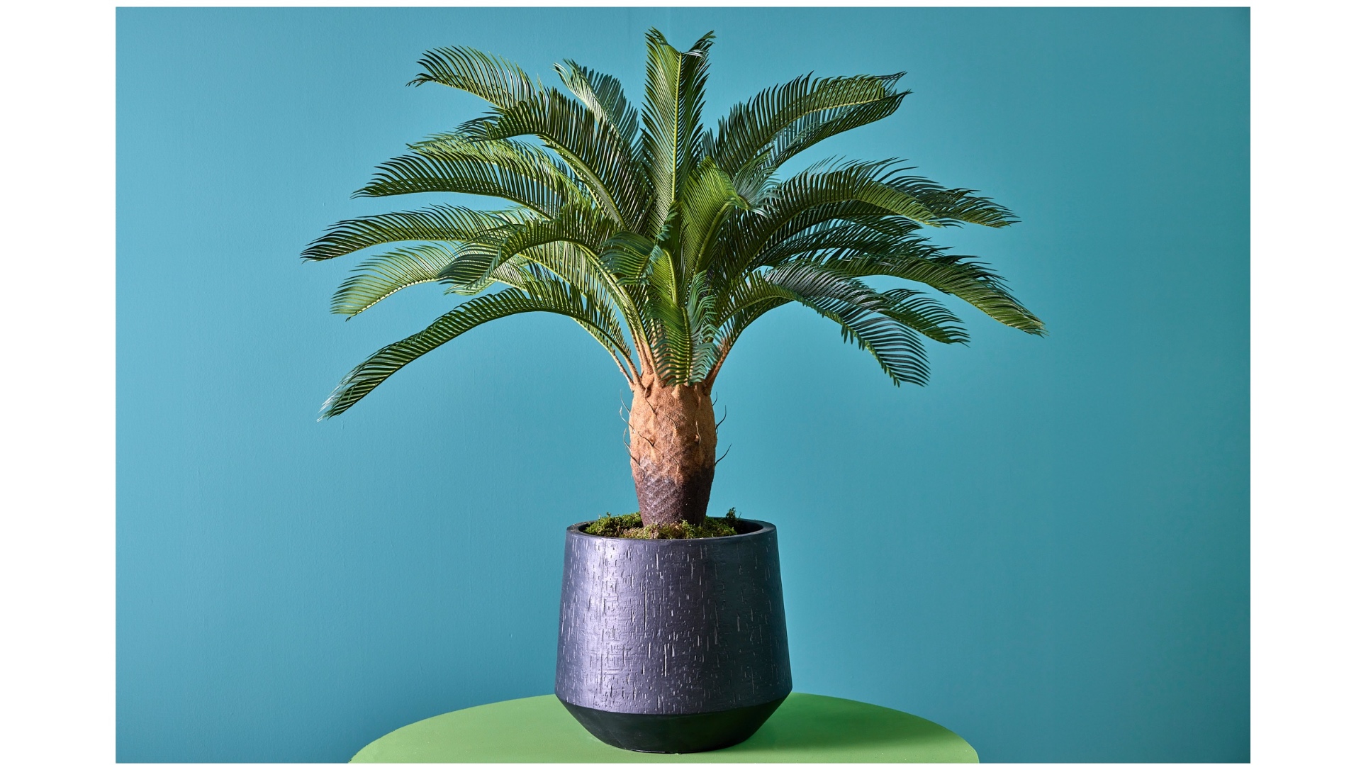 PURE Artificial Plants Trendzvakbeurzen