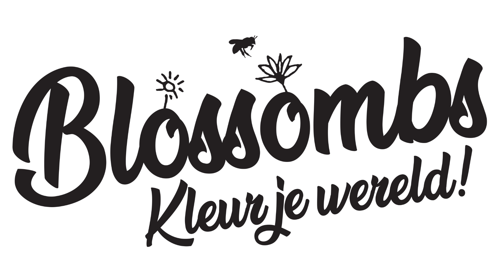 Kleur je wereld met de bloembommetjes van Blossombs!