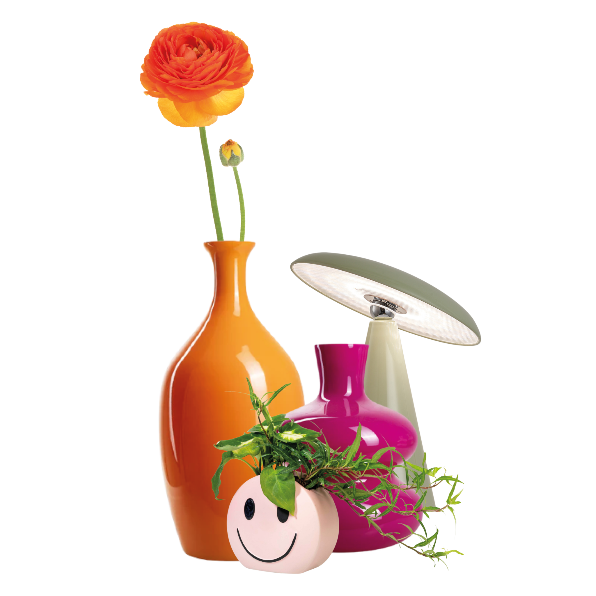 Ask & Task Baby Edition