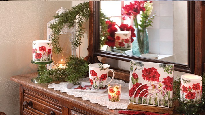 Blooming amaryllis