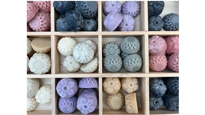 ZEEPZussen Gastenzepen