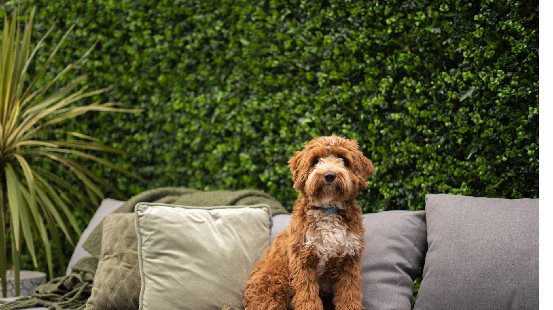 Artificial hedges
